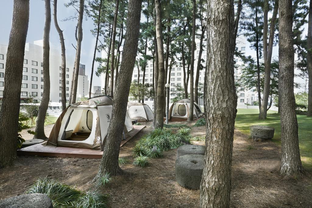 Maison Glad Čedžu Exteriér fotografie